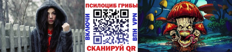 Псилоцибиновые грибы мицелий  Щучье 