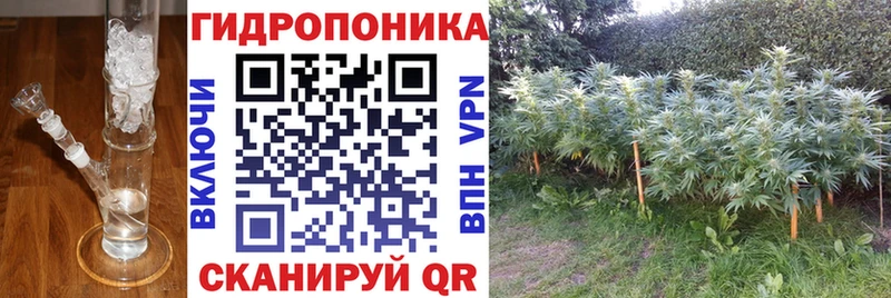 Бошки Шишки планчик  Щучье 